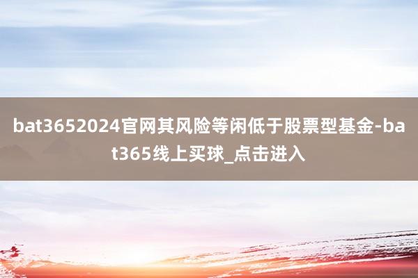bat3652024官网其风险等闲低于股票型基金-bat365线上买球_点击进入