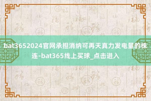 bat3652024官网承担消纳可再天真力发电量的株连-bat365线上买球_点击进入