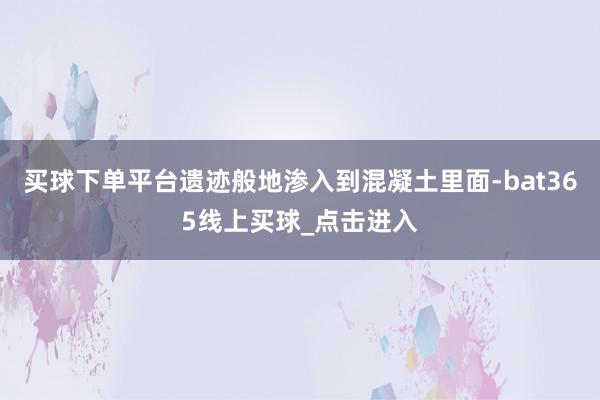 买球下单平台遗迹般地渗入到混凝土里面-bat365线上买球_点击进入