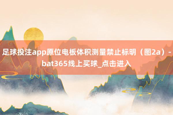 足球投注app原位电板体积测量禁止标明（图2a）-bat365线上买球_点击进入