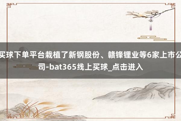 买球下单平台栽植了新钢股份、赣锋锂业等6家上市公司-bat365线上买球_点击进入