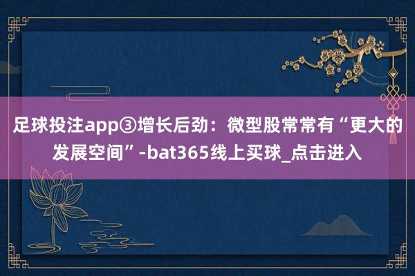 足球投注app　　③增长后劲：微型股常常有“更大的发展空间”-bat365线上买球_点击进入