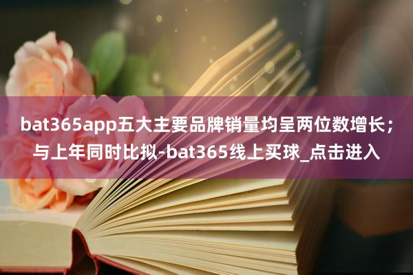 bat365app五大主要品牌销量均呈两位数增长；与上年同时比拟-bat365线上买球_点击进入