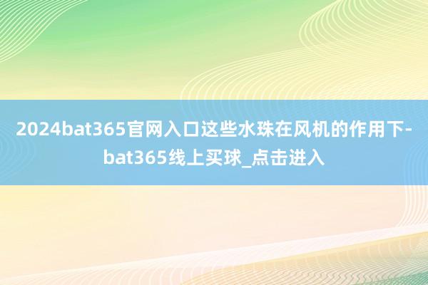 2024bat365官网入口这些水珠在风机的作用下-bat365线上买球_点击进入