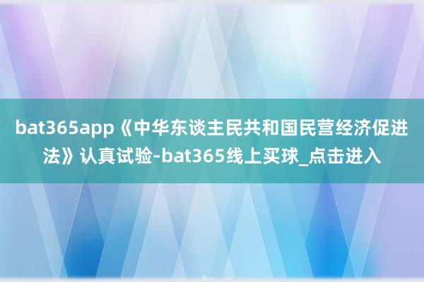 bat365app《中华东谈主民共和国民营经济促进法》认真试验-bat365线上买球_点击进入